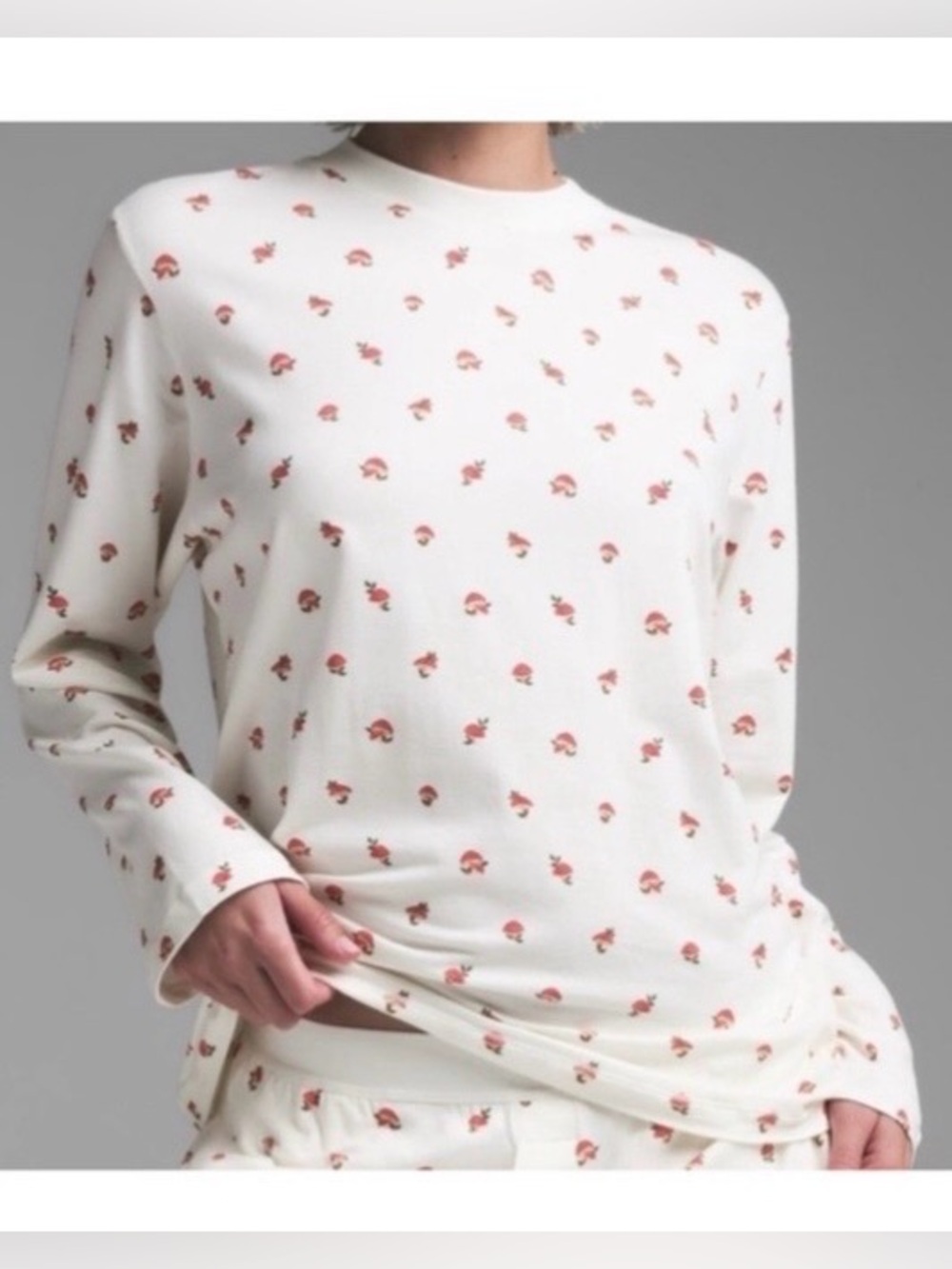 Skims long sleeve tee mushrooms top L